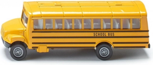 Amerikāņu skolas autobuss SIKU