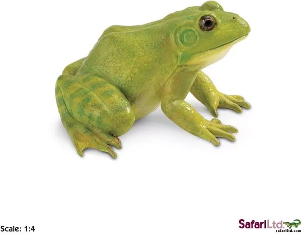 Vērša varde – figūriņa - 1 gab.