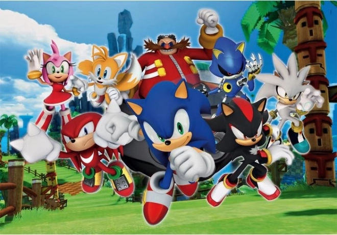 Puzle Sonic 104 detaļas