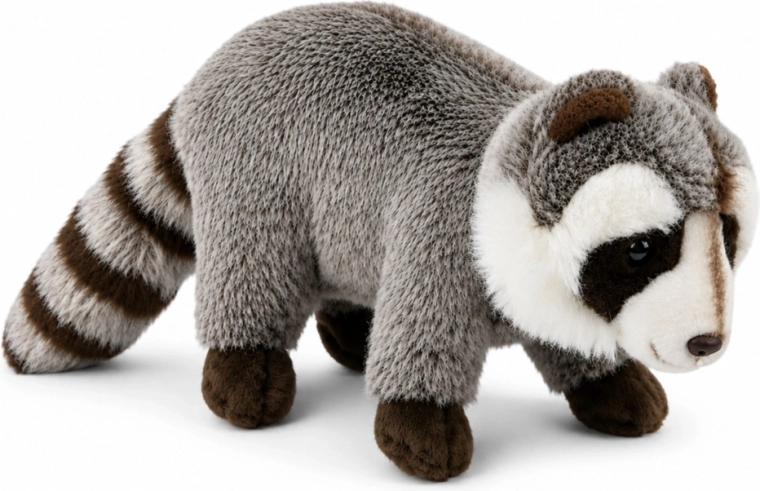 Realistic raccoon design