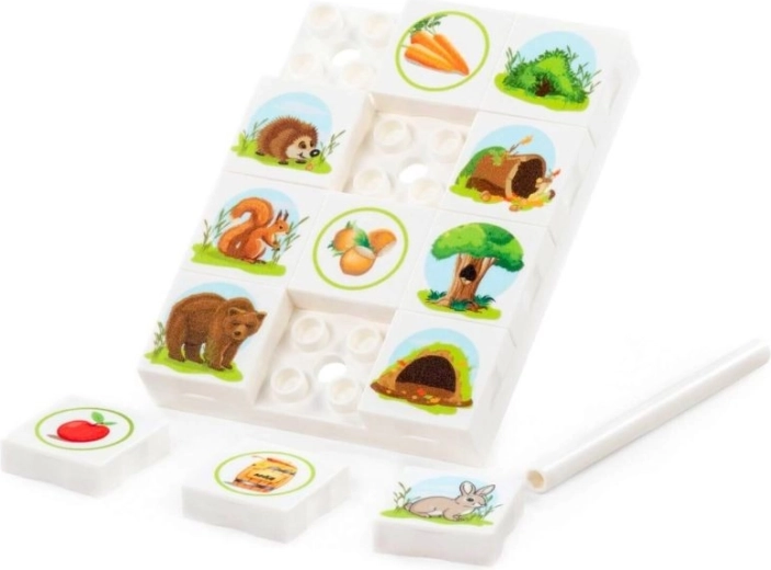 Association Game – Wild Animals