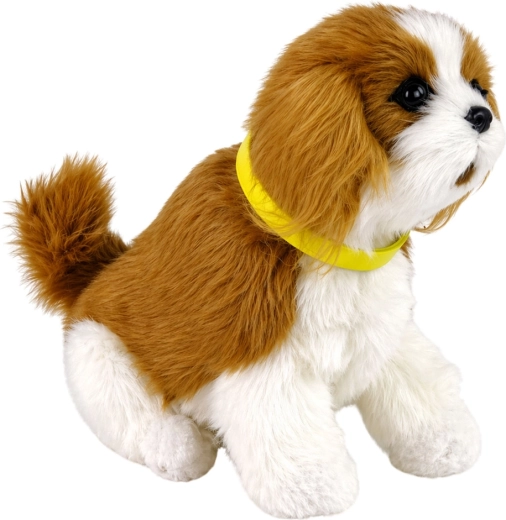 Soft plush companion