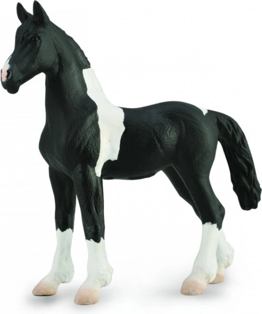Collecta baroka pinto kumeļš