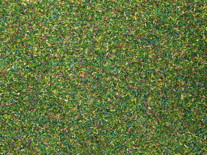 Noch static grass Flowering Meadow 150 g