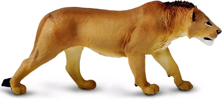Spēlēm, mācībām un kolekcionēšanai
