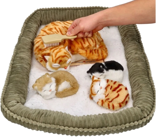 Cozy bed