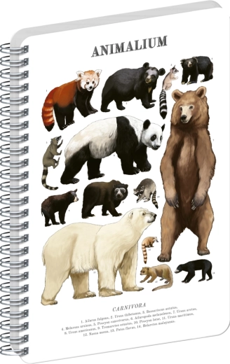 Notique spiral notebook Animalium – bears, blank, A5