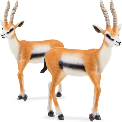Tomsona gazeles figūriņa WILD LIFE