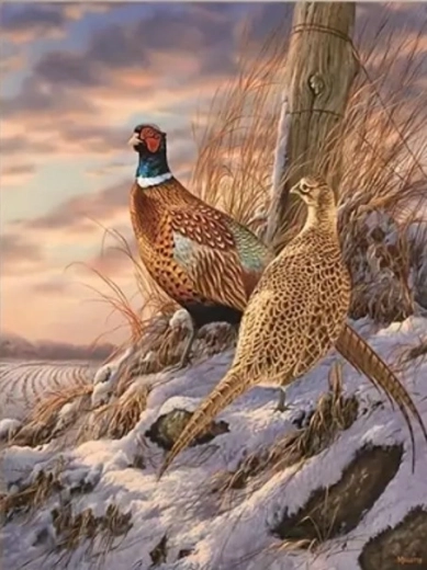 Diamond painting pheasants in winter 30 × 40 cm