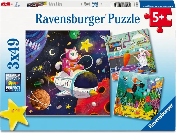 Ravensburger puzles Profesijas fantāzijas pasaulē, 3×49 gabaliņi