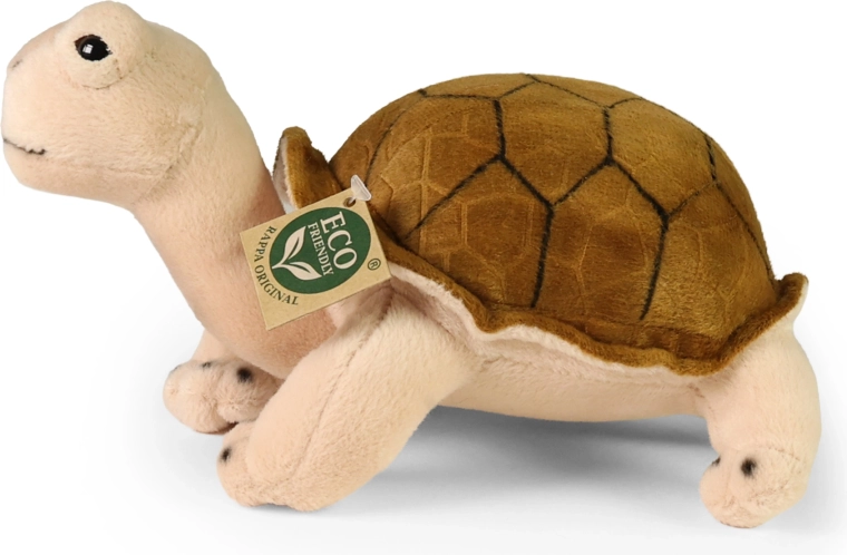 Realistically designed shell