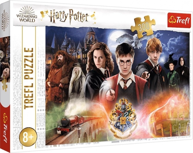 Puzle HARRY POTTER – 300 detaļas