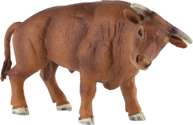 Realistic bull design