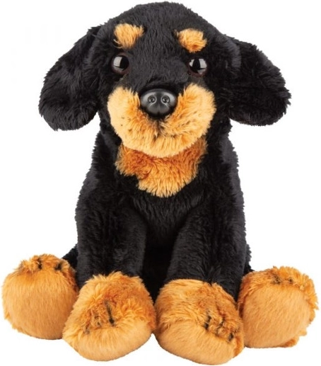 Plush Dachshund Dog