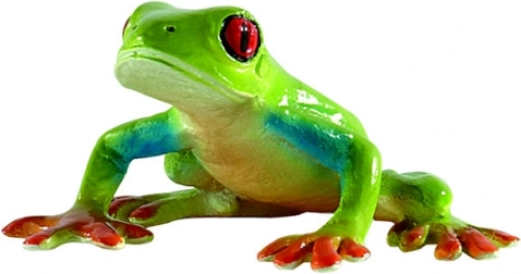 Red-eyed tree frog