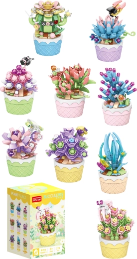 Florist sukulenti dekoratīvos puķu podos (9 veidi) – 1 gab.
