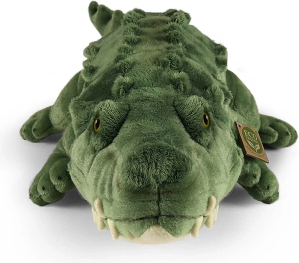 A large cuddly friend