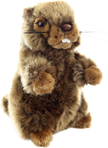 Drošs no dzimšanas