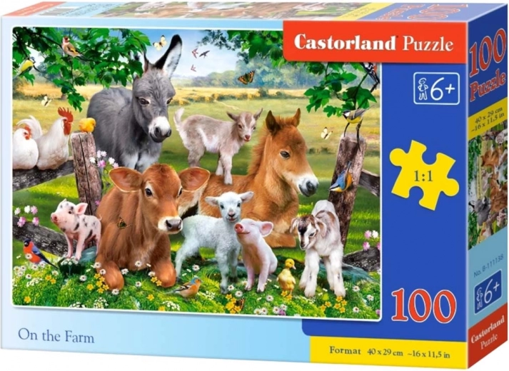 Püzle Fermā 100 gabaliņi