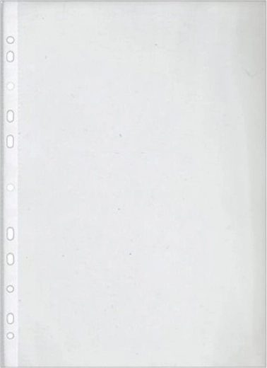 Dokumentu ieliktnis A4, caurspīdīgs, 100 gab.