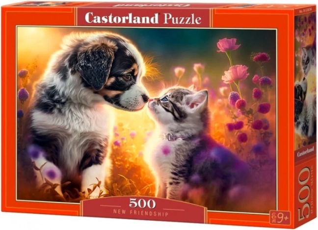 Puzle 500 gab. CASTORLAND – jauna draudzība (suns un kaķis)