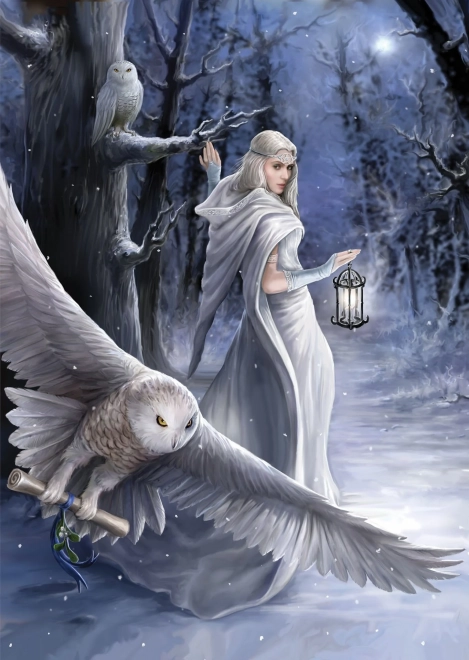 Puzzle Anne Stokes Midnight Messenger 1000 pieces