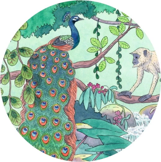 Spilgta ilustrācija, pilna krāsu