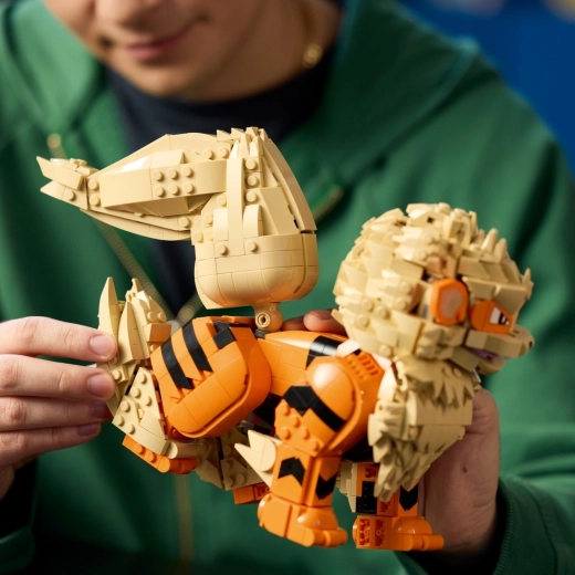 Būvēšana ar LEGO Builder lietotni