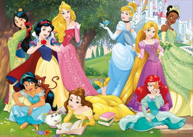 Educa puzle Disney princeses 500 gab.