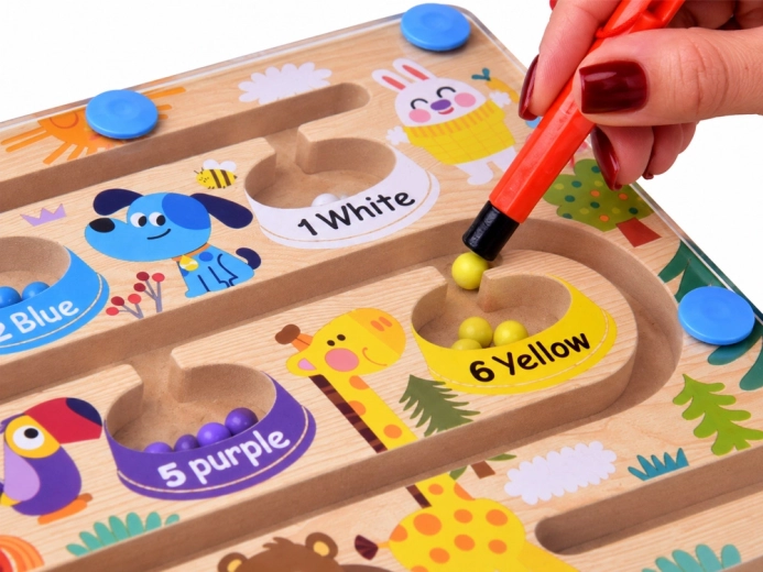 Magnetic pen for precise guidance of the balls