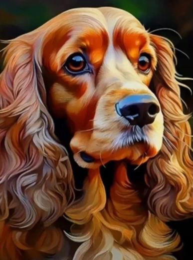 Diamond painting cocker spaniel 30 × 40 cm
