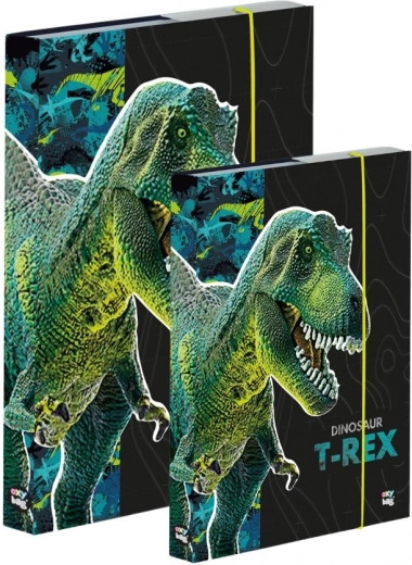 A4 un A5 kladīšu kastīšu komplekts – dinozaurs