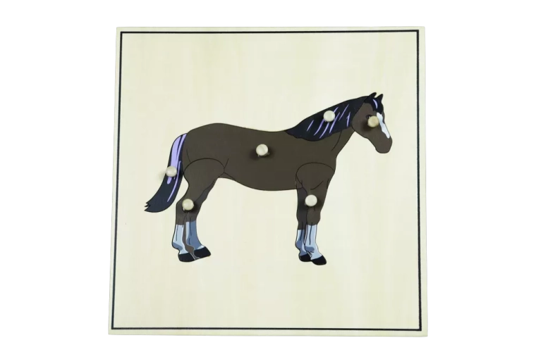 Puzzle with skeleton – horse