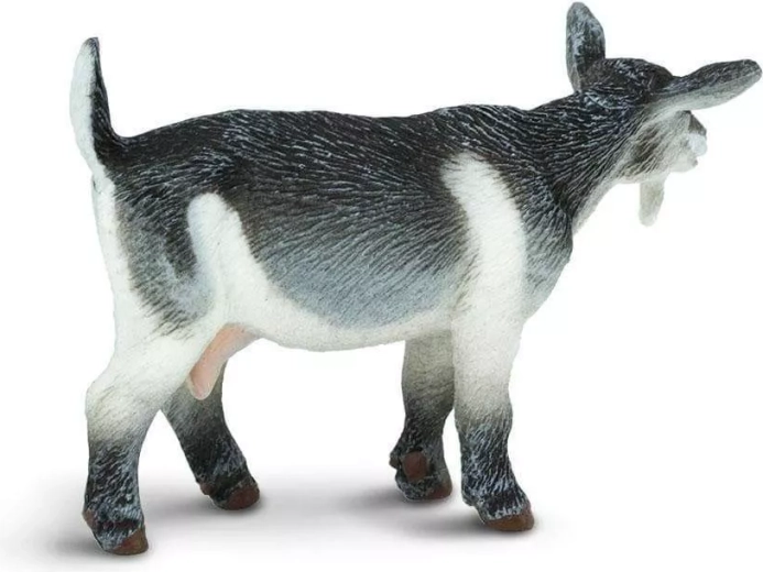Safe and non-toxic toy