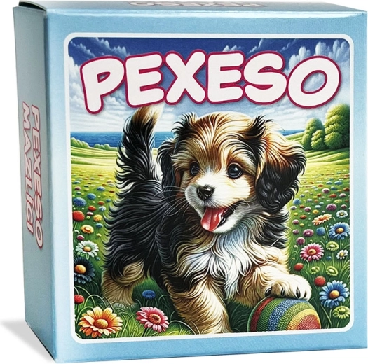 Atmiņas spēle (Pexeso) Mīluļi zilā kastītē