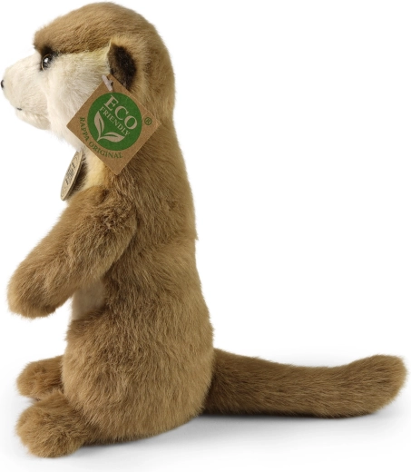 Reālistiskas detaļas un stabila poza