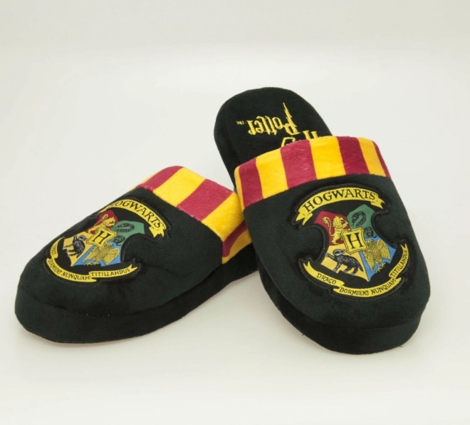 Sieviešu čības Harry Potter Cūkkārpa – Izmērs