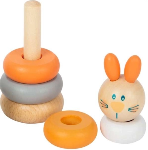 Krāsu, formu un izmēru apguve