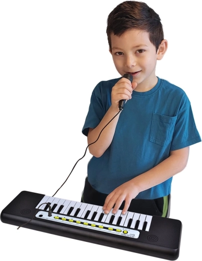 Microphone for music and singing