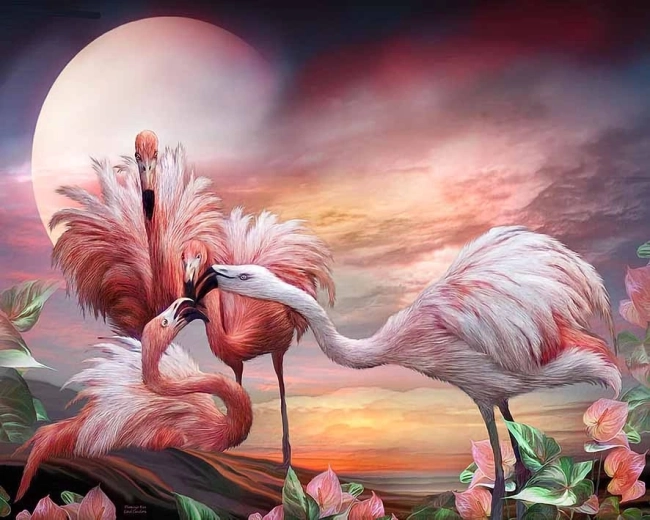 Norimpex Gleznošana pēc numuriem Flamingo 40 × 50 cm