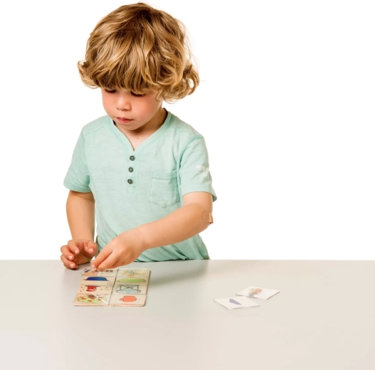 Developing vocabulary and logical thinking