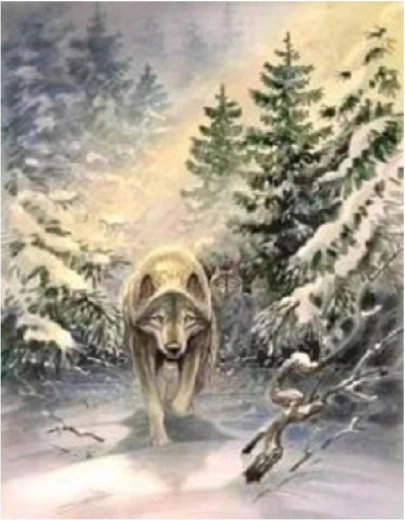 Norimpex Paint by Numbers Wolf in the Forest 40 × 50 cm
