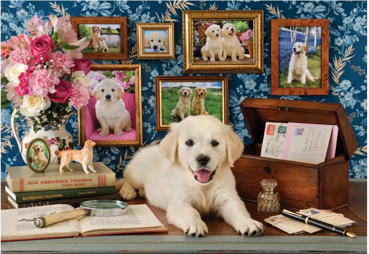 Puzzle Labrador 500 pieces