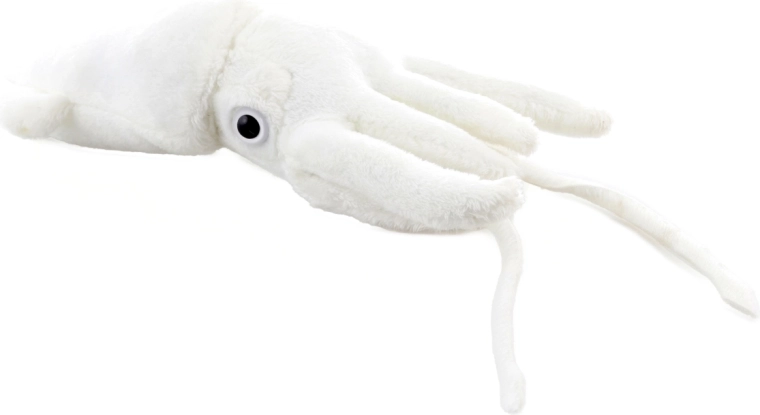 Reālistiska forma ar taustekļiem