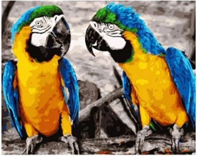 Diamond Painting Parrots 30 × 40 cm