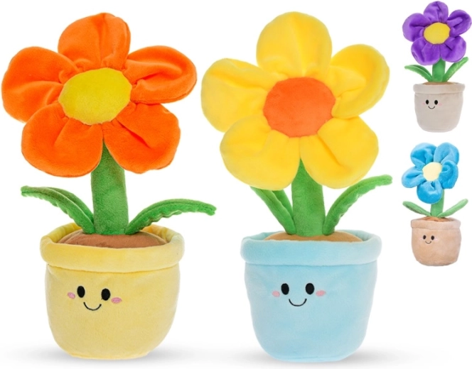 Droši no dzimšanas (0+)