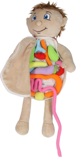 Izņemami mīksti orgāni ar līplentu