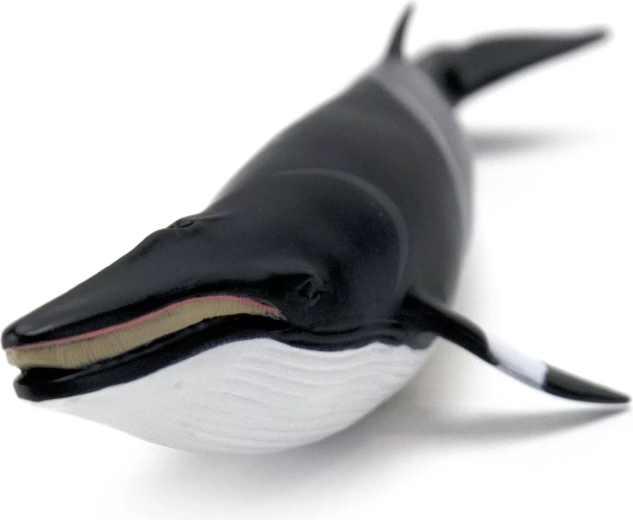Realistic depiction of a marine mammal