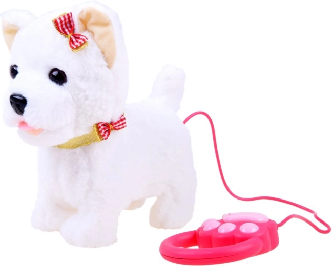Leash with Controls