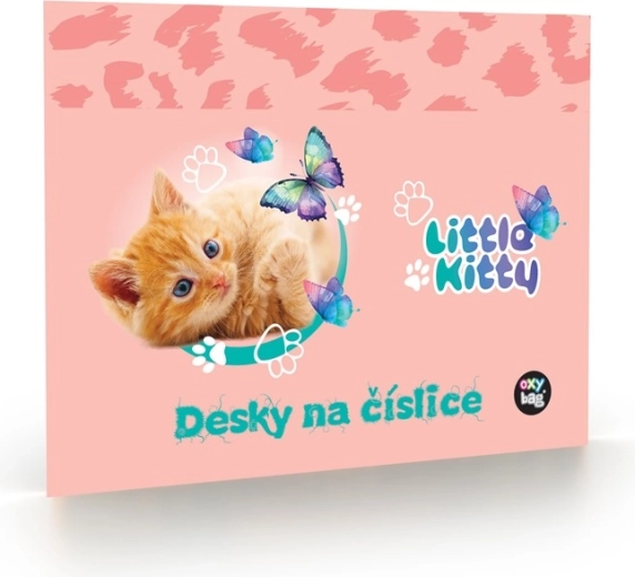 Number Card Folder Cat